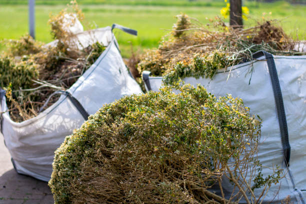 Best Commercial Junk Removal  in Jeffersonville, IN